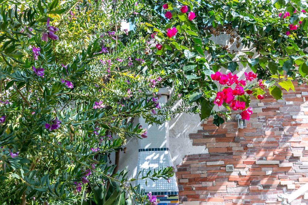 Villa Villino Claudia 30 Mt Mare Porto Cesareo Exterior foto